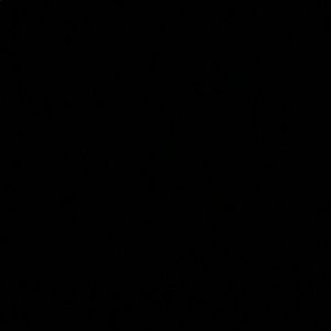 Meet your Posher, Zach